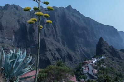 El Caserío de Masca – Tenerife – Viaje Agosto 2018Las cas...