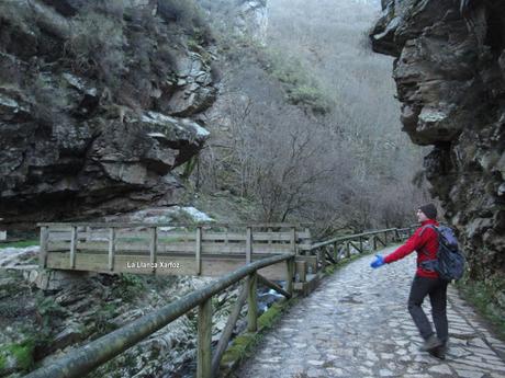 Soto de Agues-Camín d´Agüeria/Foz de Llaímu (Ruta del Alba)-Les Felgueres-Los Pandanes-Mina Carmen (o de Llaímu)