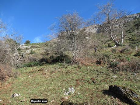 Soto de Agues-Camín d´Agüeria/Foz de Llaímu (Ruta del Alba)-Les Felgueres-Los Pandanes-Mina Carmen (o de Llaímu)