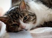 Descubrimientos /abril 20'/