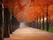 Otoño