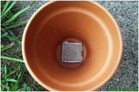 gardening-watering-ollas-03 Sistema de riego automático con dos macetas