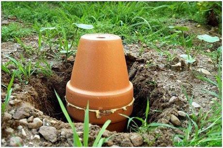 gardening-watering-ollas-06 Sistema de riego automático con dos macetas