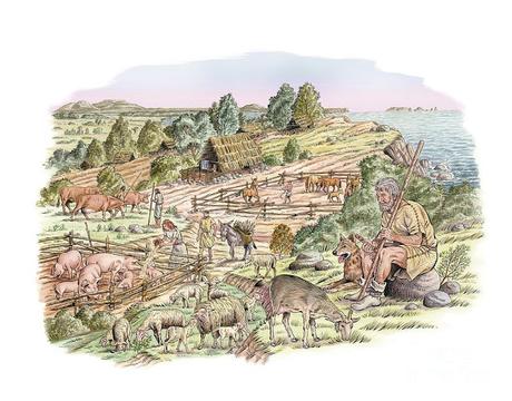 Miles gregarius, el legionario en la antigua Roma Miles gregarius, el legionario en la antigua Roma