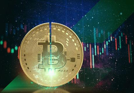 StormGain recomienda comprar Bitcoin de cara al próximo halving