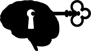 Los 4 químicos de la felicidad y la fuerza de voluntad Los 4 químicos de la felicidad y la fuerza de voluntad