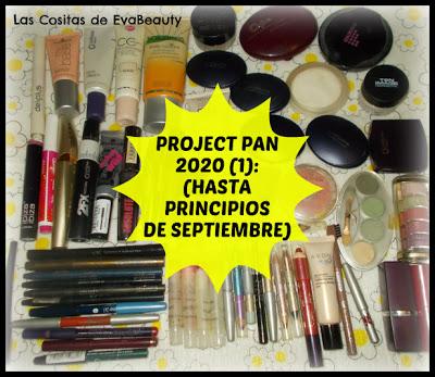 mi primer project pan