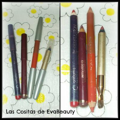 perfiladores labios project pan maquillaje