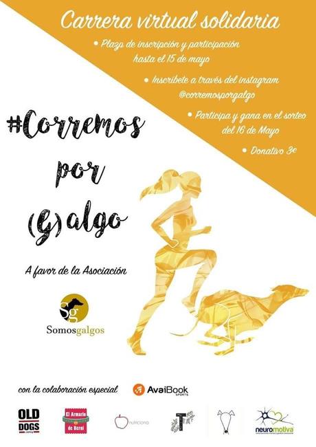 carrera somos galgos