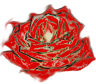 Reseña: Tras una nueva vida