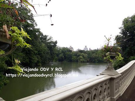 Que hacer, a donde ir, que visitar en New York. Central Park en un día. Visita a Museo de Historia Natural.