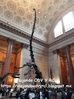 Que hacer, a donde ir, que visitar en New York. Central Park en un día. Visita a Museo de Historia Natural.