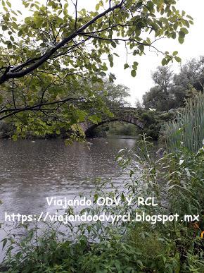Que hacer, a donde ir, que visitar en New York. Central Park en un día. Visita a Museo de Historia Natural.
