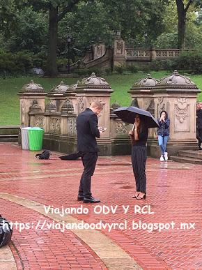 Que hacer, a donde ir, que visitar en New York. Central Park en un día. Visita a Museo de Historia Natural.