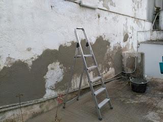 Visita Virtual por la asociación Bonsai del Valles 2ªparte