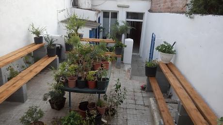 Visita Virtual por la asociación Bonsai del Valles 2ªparte