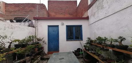 Visita Virtual por la asociación Bonsai del Valles 2ªparte