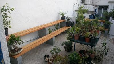 Visita Virtual por la asociación Bonsai del Valles 2ªparte