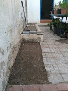 Visita Virtual por la asociación Bonsai del Valles 2ªparte Visita Virtual por la asociación Bonsai del Valles 2ªparte