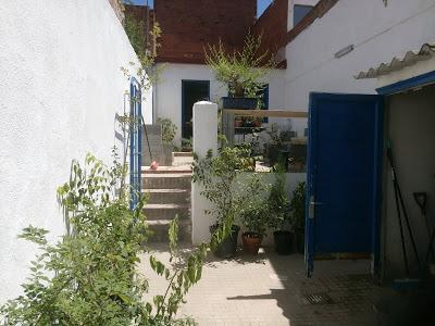 Visita Virtual por la asociación Bonsai del Valles 2ªparte Visita Virtual por la asociación Bonsai del Valles 2ªparte