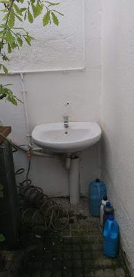 Visita Virtual por la asociación Bonsai del Valles 2ªparte Visita Virtual por la asociación Bonsai del Valles 2ªparte