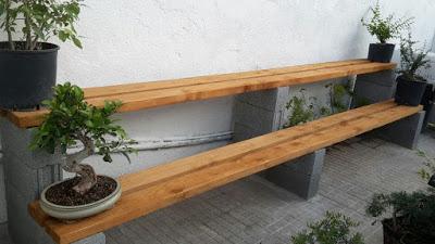 Visita Virtual por la asociación Bonsai del Valles 2ªparte Visita Virtual por la asociación Bonsai del Valles 2ªparte