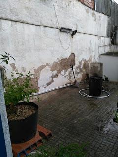 Visita Virtual por la asociación Bonsai del Valles 2ªparte Visita Virtual por la asociación Bonsai del Valles 2ªparte