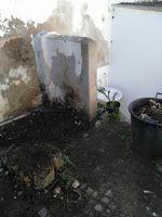 Visita Virtual por la asociación Bonsai del Valles 2ªparte Visita Virtual por la asociación Bonsai del Valles 2ªparte