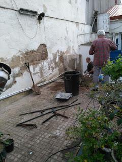 Visita Virtual por la asociación Bonsai del Valles 2ªparte Visita Virtual por la asociación Bonsai del Valles 2ªparte