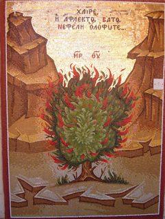 Sextas moradas: amar y dejarse amar Zarza ardiente