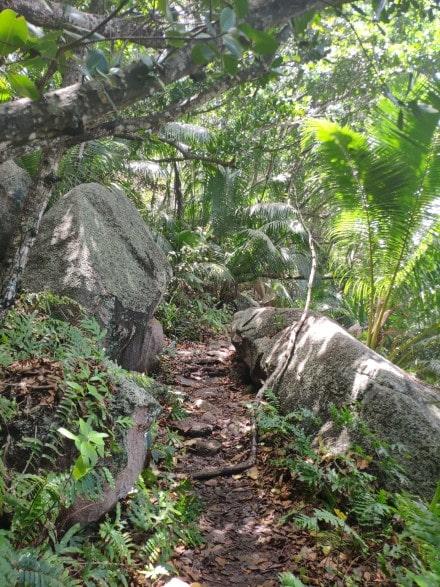 La Digue: la isla de Seychelles donde la vida transcurre en bicicleta naturaleza-ladigue