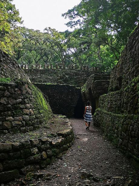 Chiapas día 6: Selva Lacandona: Yaxhilán y Bonampak Chiapas día 6: Selva Lacandona: Yaxhilán y Bonampak