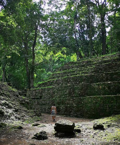 Chiapas día 6: Selva Lacandona: Yaxhilán y Bonampak Chiapas día 6: Selva Lacandona: Yaxhilán y Bonampak