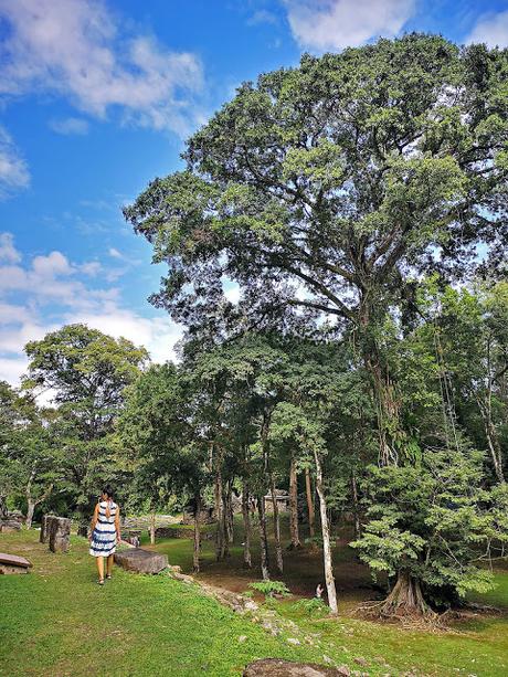 Chiapas día 6: Selva Lacandona: Yaxhilán y Bonampak