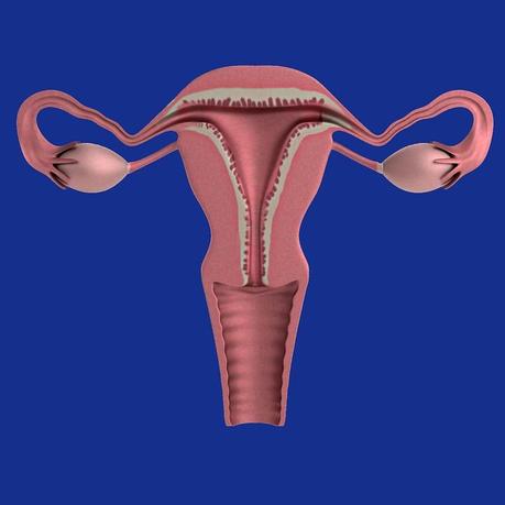 Psicofertilidad Natural explica el síndrome de ovario poliquístico