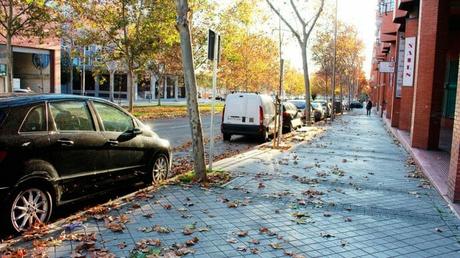 Madrid abre sus zonas verdes de distrito para el paseo
