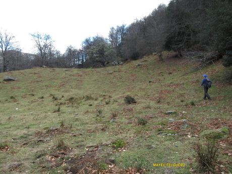 Soto de Agues-Valdacéu-Texera-Los Casares-Grayiru-Penoba