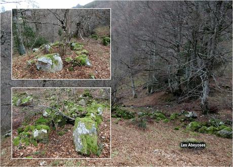 Soto de Agues-Valdacéu-Texera-Los Casares-Grayiru-Penoba