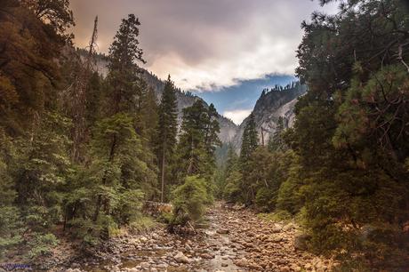 Estados Unidos. Donde la Naturaleza es Grande. Parte VI. Yosemite National Park
