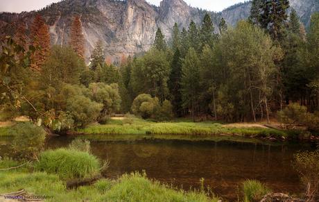 Estados Unidos. Donde la Naturaleza es Grande. Parte VI. Yosemite National Park