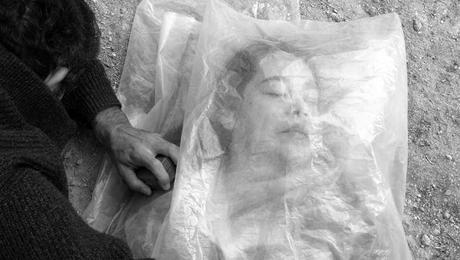 D'A Film Festival: Un Impulso Colectivo