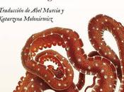 Provocación Stanislaw