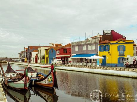 6 cosas qué ver en Aveiro en un día. ¿Vale la pena? molicieros aveiro que ver