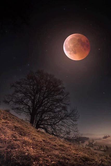 Isabel Díaz Ayuso, al frente de una corte de fanáticos.