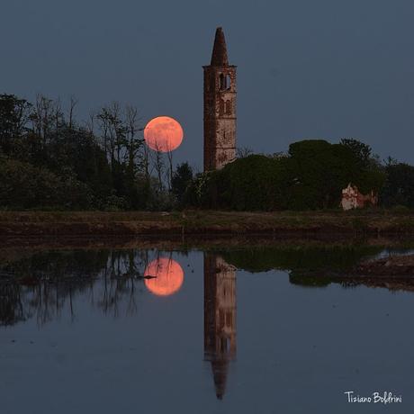 [TRIBUNA DE PRENSA] Lo mejor de la semana. Mayo, 2020 (II)