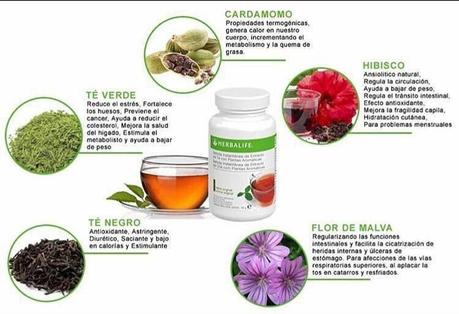 Nuestros esenciales para la dieta de déficit calórico Nuestros esenciales para la dieta de déficit calórico