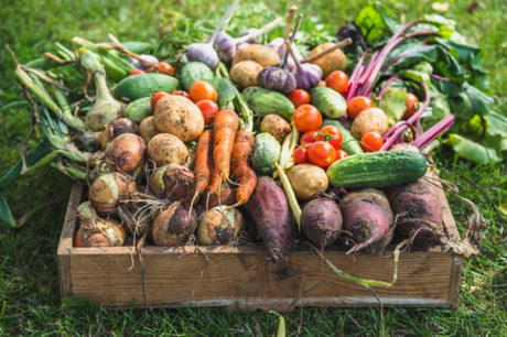 Vida sana y saludable vegetales frescos para una vida sana y saludable