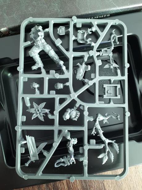 Unbox del Coronel de Catachan, y sorpresa con la pieza nº 5 Unbox del Coronel de Catachan, y sorpresa con la pieza nº 5