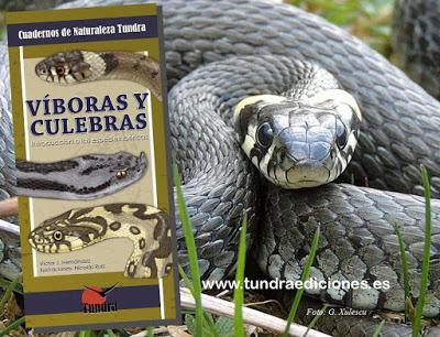NOVEDAD EDITORIAL: Víboras y culebras